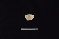 磨製石器藏品圖，第1張